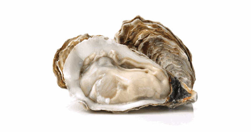 有助護髮的6種食物：蠔肉