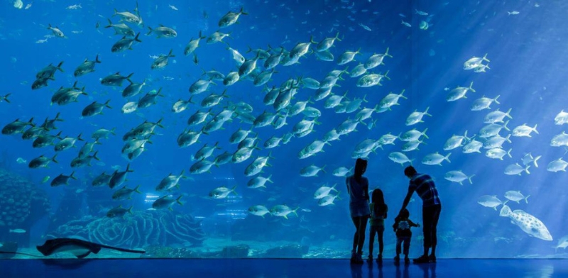 是全球最大的海洋主題公園。 （圖片來源：珠海長隆海洋王國）