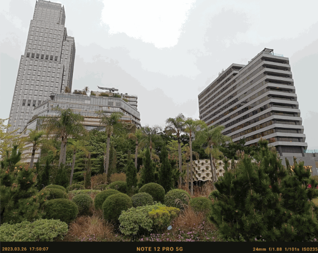 日光下拍攝，50MP廣角主鏡成像不俗，色彩偏向自然。