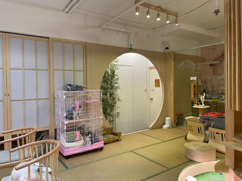 臺北喵家空間 臺北喵家空間