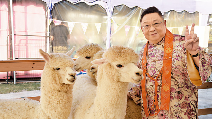 羊駝是未來人類的救世密碼，對于老鼠生肖來說，更是人間幸福的密碼。