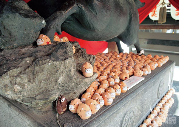 參拜者會把小型的豬放在巨豬下祈求勝利！