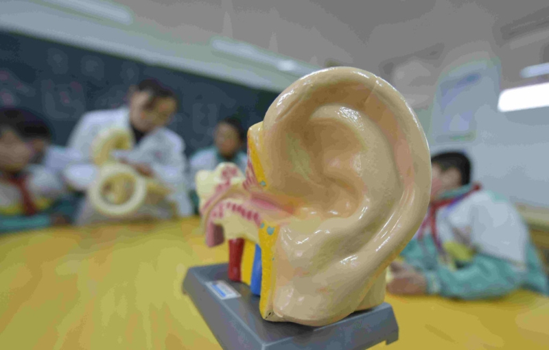 從相學角度，耳朵不但影響子女的運程，還會造成父母離異的人生悲劇。