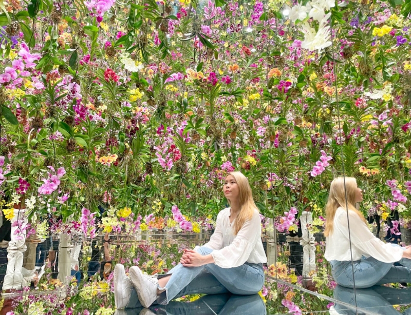 漂浮的花園 漂浮的花園