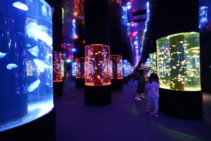 將真實水母、鏡影幻像及五光十色的燈光巧妙配合。