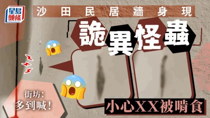 香港市民發帖求救：發現“詭異怪蟲”！不少人家里都有，注意防護