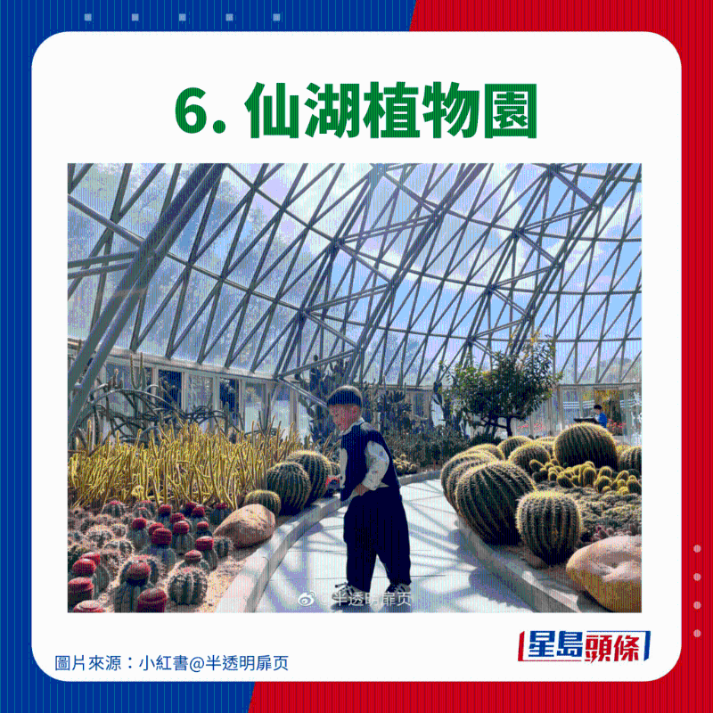 6. 仙湖植物園 6. 仙湖植物園
