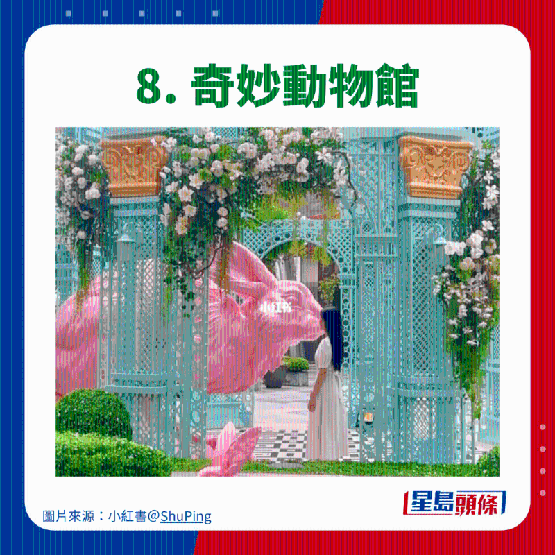 8.奇妙動物館 8.奇妙動物館