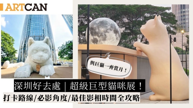 深圳2大巨型貓咪展 深圳2大巨型貓咪展