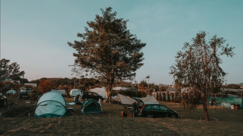 位于元朗錦田的森之谷農莊。