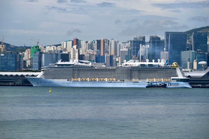 郵輪海洋光譜號8月4日停泊于香港啟德郵輪碼頭的資料圖
