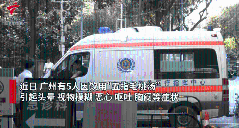出現嘔吐、頭暈等癥狀（影片截圖：廣東臺觸電新聞）