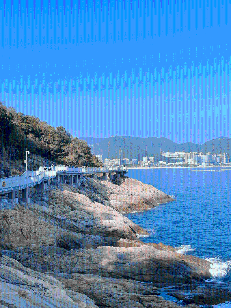 全長約1公里的棧道，看海一流。