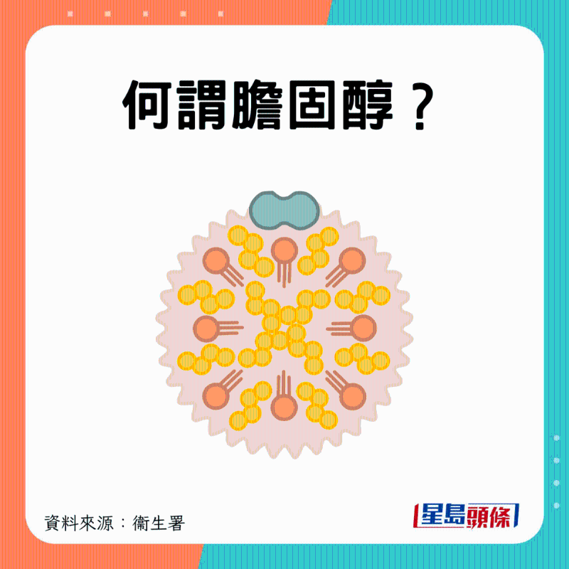 甚么是膽固醇？