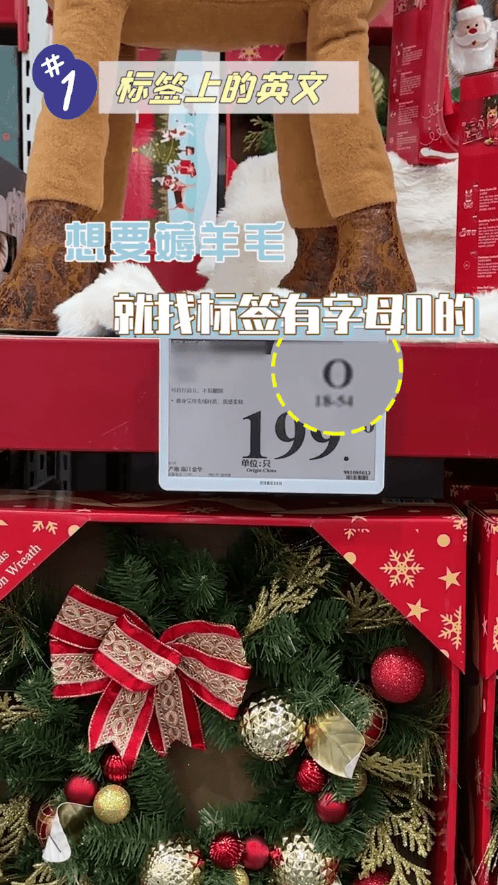 字母O 字母O