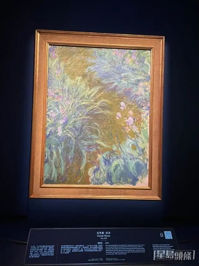 莫奈的《鳶尾花》。