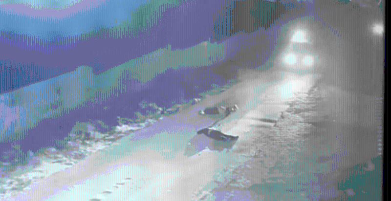 兩名男子中槍倒地并一動不動。