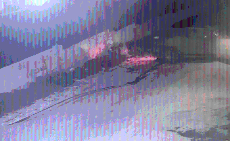 另一段視頻顯示，其中一具尸體被移到路邊，其經過的地方留下一道清晰的血路，其后一輛以軍車輛駛至，倒車碾過尸體。