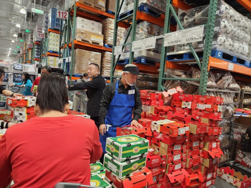 Costco有兩款品牌“miss o premium cherries”及“波板”，均為2.5公斤裝，分別售￥159.9元及￥279.9元人民幣。 資料圖片