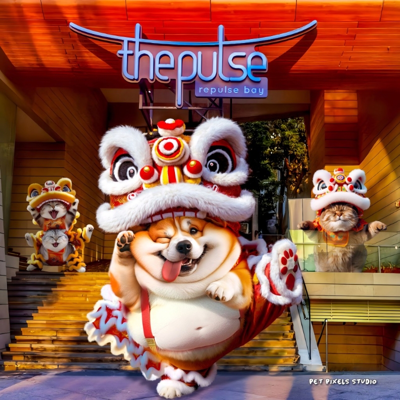 由2月1日至2月14日，the pulse將會舉辦全港首個“AI 百變造型毛孩藝術展”