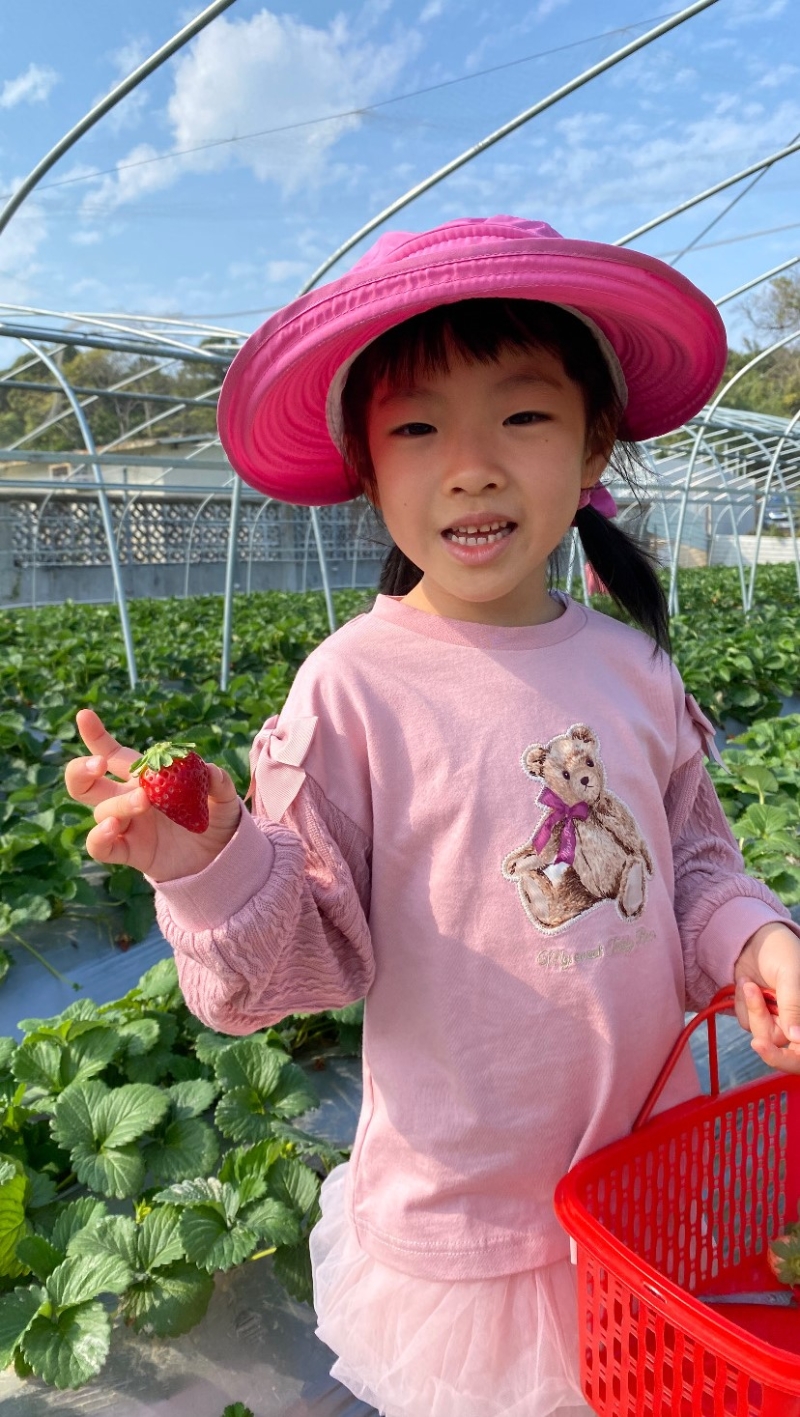 不要以為士多啤梨越大越甜，其實士多啤梨園的“小小” 士多啤梨也很甜美。（圖片來源：《親子王》）