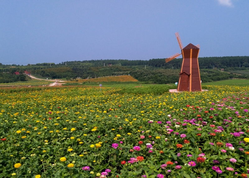 風車長廊 風車長廊