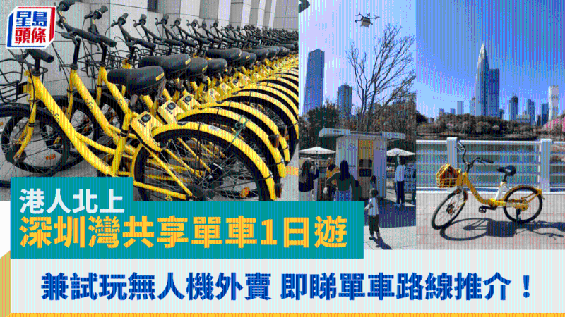 港人北上深圳灣共享單車1日游 港人北上深圳灣共享單車1日游