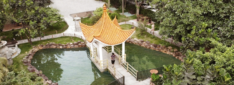 深圳市龍華區晚晴苑養護院