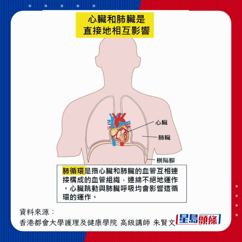 心臟與肺直接地相互影響 心臟與肺直接地相互影響