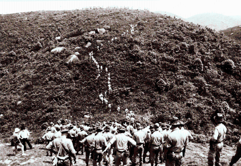 寶馬山雙尸案1 寶馬山雙尸案1