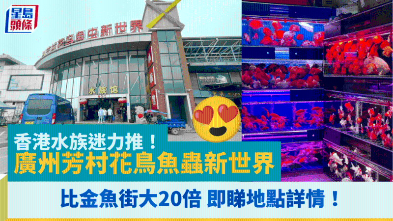 廣州芳村花鳥魚蟲新世界 廣州芳村花鳥魚蟲新世界