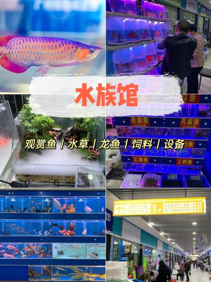 魚類區 魚類區