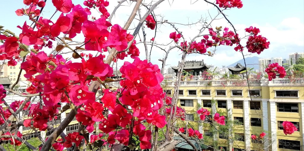 空中花園 空中花園