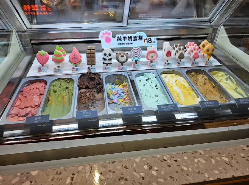 李漫芬經羅湖北上紀錄恐怖人潮10 李漫芬經羅湖北上紀錄恐怖人潮10