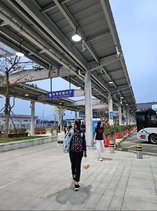 李漫芬經羅湖北上紀錄恐怖人潮2 李漫芬經羅湖北上紀錄恐怖人潮2