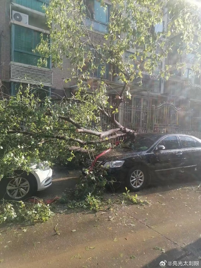 南昌強風致4死10余傷2 南昌強風致4死10余傷2