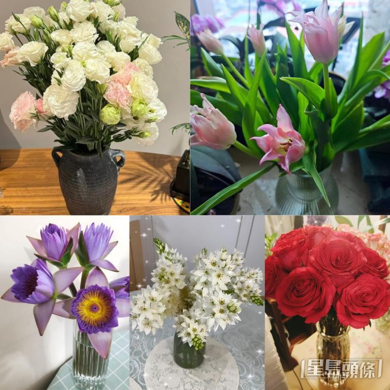 市民在社交平臺群組分享淘花的成果。