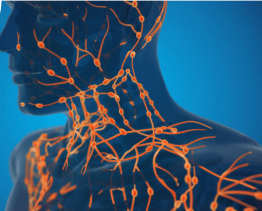 淋巴癌先兆 淋巴癌先兆