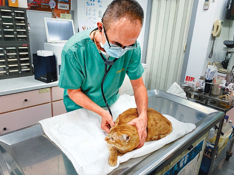 有小型獸醫診所職員擔心大集團壟斷市場。