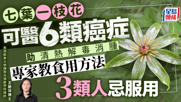 七葉一枝花可醫6類癌癥 七葉一枝花可醫6類癌癥