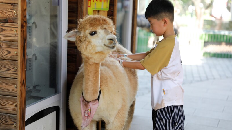 萌寵樂園 萌寵樂園