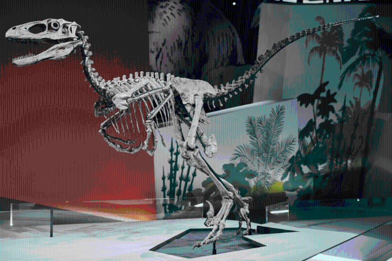 恐龍展覽 恐龍展覽