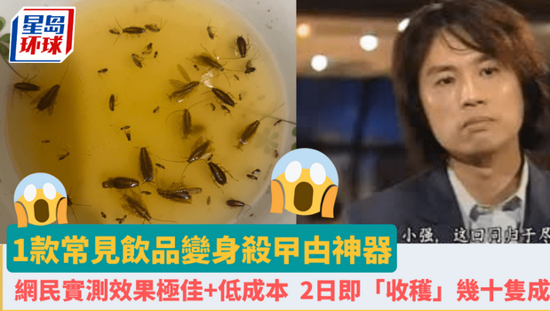 1款常見飲品變身殺蟑螂神器_副本 1款常見飲品變身殺蟑螂神器_副本