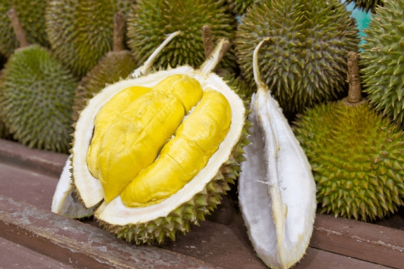 榴蓮 榴蓮