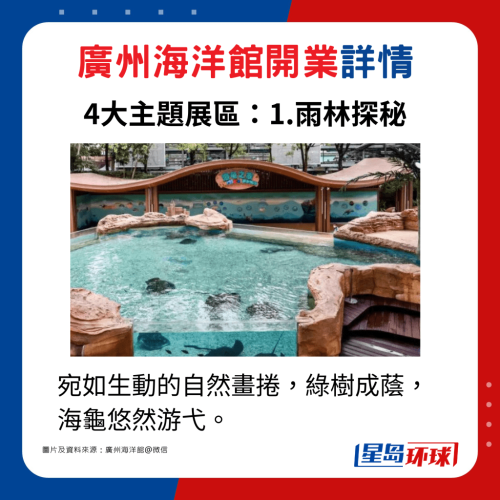 主題展區1.雨林探秘：宛如生動的自然畫卷，綠樹成蔭，海龜悠然游弋。