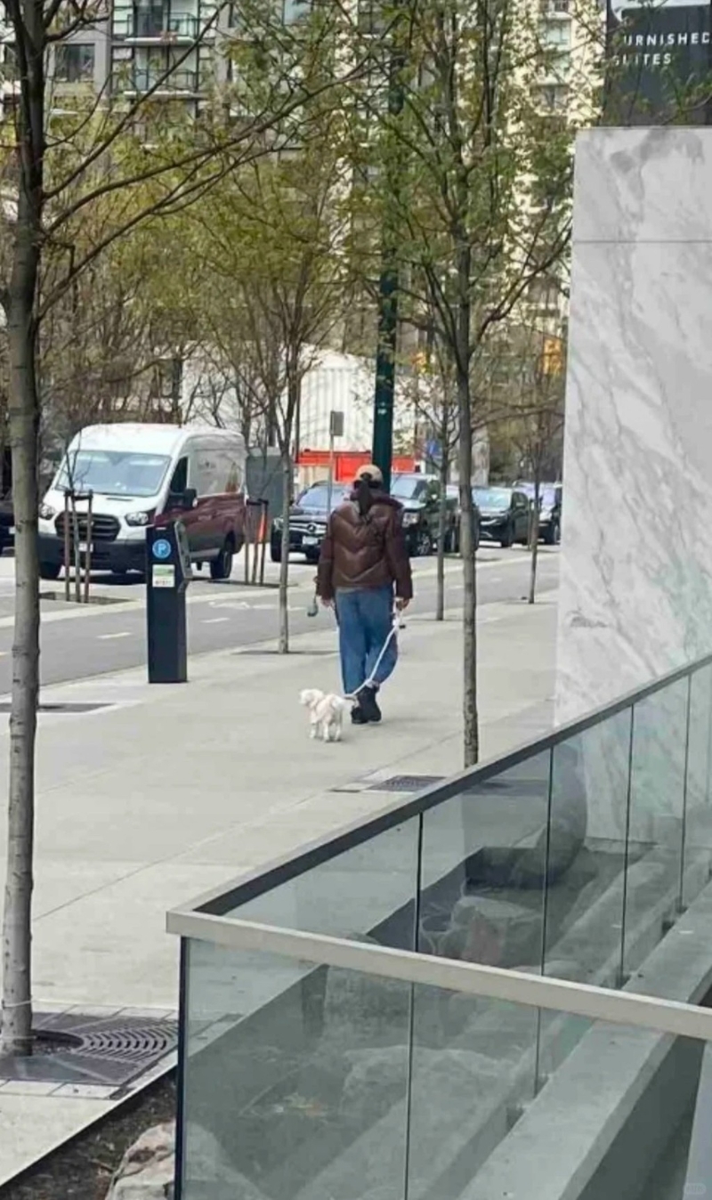 近日就接連有網民巧遇王祖賢放狗的照片