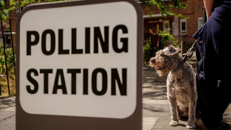 狗狗票站打卡情況是英國選民關心的選舉“看點”之一。