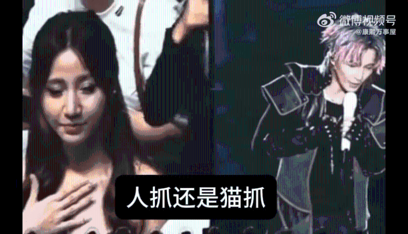 不少網民認為薛之謙對女觀眾性騷擾，薛之謙人抓的還是貓抓的更一度登上微博熱搜，引起熱議。