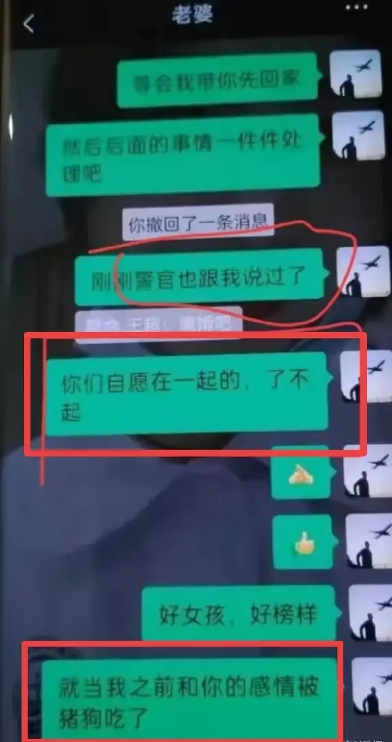 王先生質問妻子，怒稱“自己這些年的感情喂了狗”。