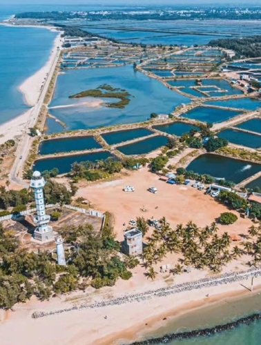 7. 中國南極村有美麗的海濱、秦漢時代海上絲綢之路要塞、漁家風情、珊瑚建筑等特色。圖片來源：小紅書@一一